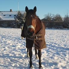 Traver Topper ;-)