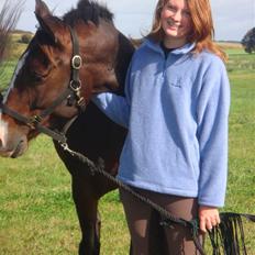 Trakehner Trapattoni 