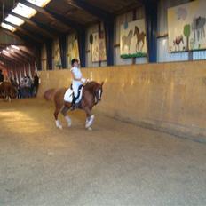 Anden særlig race Mon cherie R.I.P!