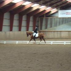 Anden særlig race Mon cherie R.I.P!