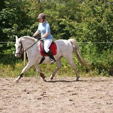 Tysk Sportspony †Anuschka† :'( MIT ALT !