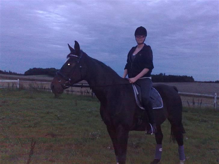 Dansk Varmblod Jacqueline Egeris**solgt* - Jacqueline og Maja (første gang Maja rider hende) billede 10