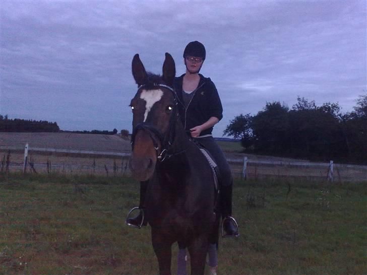 Dansk Varmblod Jacqueline Egeris**solgt* - Jacqueline og Maja (første gang Maja rider hende) billede 11