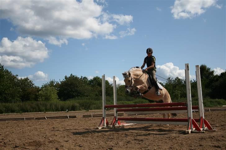 Fjordhest Elaiza Ore <3 |Gl part| - Elsker det billed ;D Fotograf: Nana billede 14