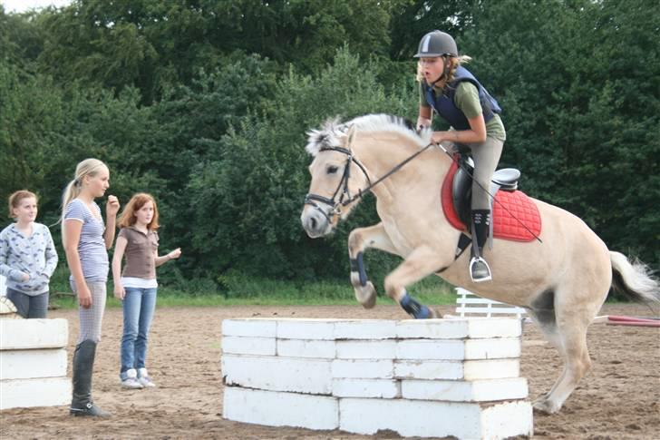 Fjordhest Elaiza Ore <3 |Gl part| - springer kasser på Elaiza!<3 Fotograf: Nana billede 17