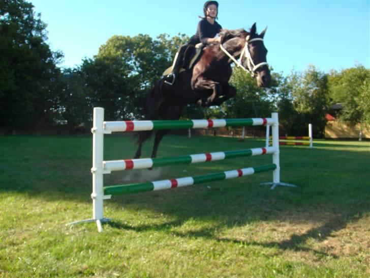 Traver Maggie Buttler*solgt :'(* billede 19