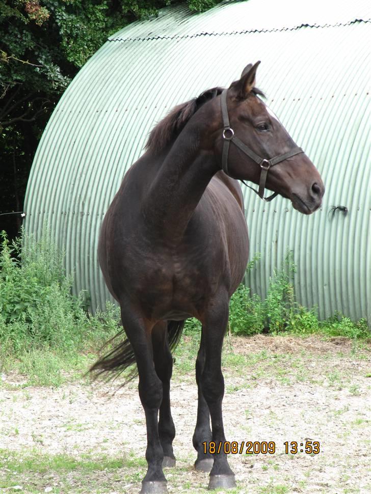 Oldenborg Jasmin (Død) billede 1