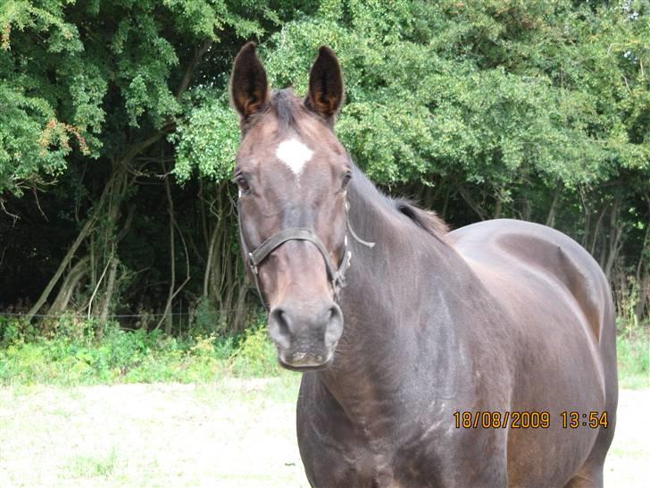 Oldenborg Jasmin (Død) billede 2
