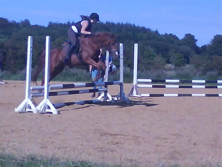 Anden særlig race magic fancy fancy(ik min) - nyt** spring den 19 august :-) billede 8