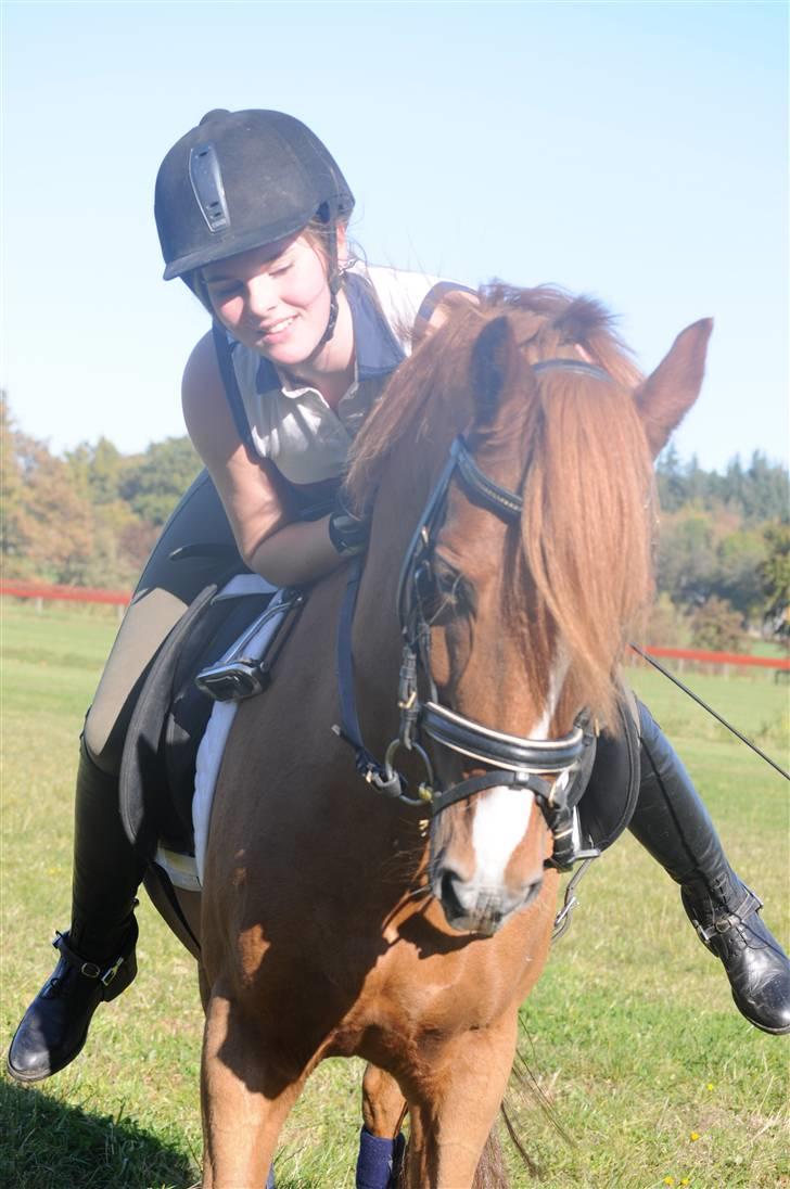 Anden særlig race magic fancy fancy(ik min) billede 9