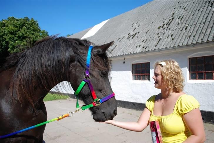 Frieser Eline Bouwkje B. billede 8