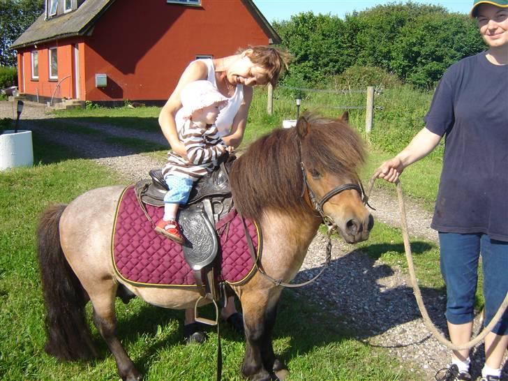 Anden særlig race Carlo - Carlo og Karoline 2006 billede 2