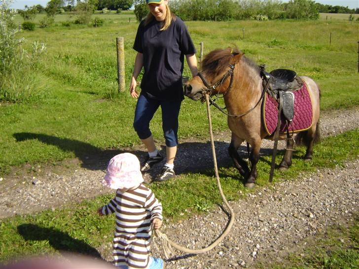 Anden særlig race Carlo - Carlo og Karoline går en tur 2006 billede 6