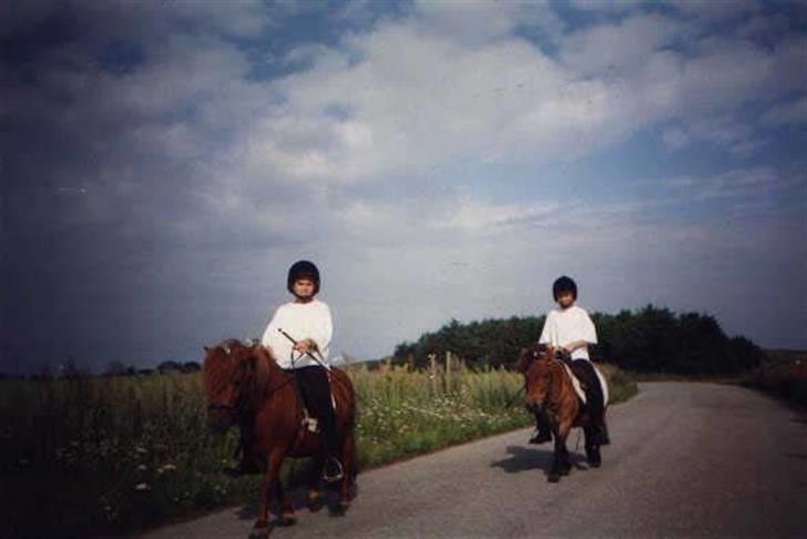 Anden særlig race Carlo - Walter & Carlo på tur - Edslev slut 90´erne. (Gammelt billede, som er scannet ind) billede 7