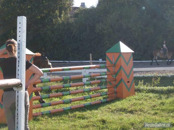 Frederiksborg Kentucky Charlie - Tucks på vej mod 140. August 09. Fotograf: Kit billede 6