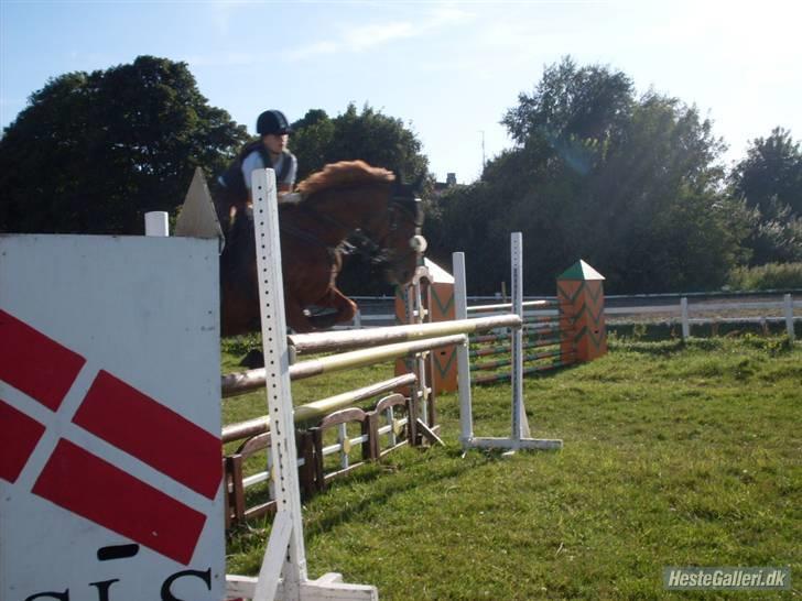 Frederiksborg Kentucky Charlie - Trippelbar 130 cm. August 09. Fotograf: Kit billede 7