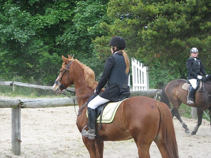 Frederiksborg Kentucky Charlie - Vi venter på at vi skal ind og indkassere "guldet" som vi plejer ;-) billede 8