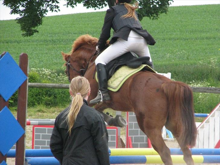 Frederiksborg Kentucky Charlie - ALS - Når enden er god er alting godt. og i det her tilfælde er enden MEGET god!!! billede 9