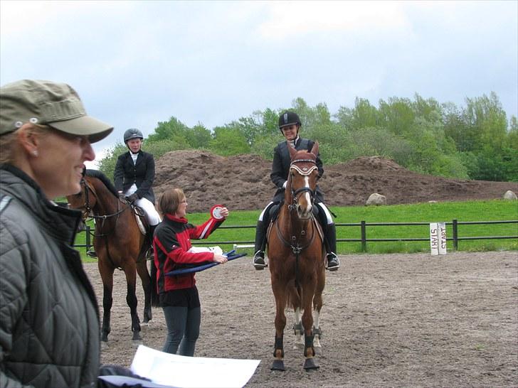 Frederiksborg Kentucky Charlie - Hvalsø rideklub - self en 1. plads billede 10