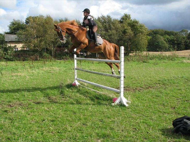 Frederiksborg Kentucky Charlie - Vi tager lige et spring... det er da nemt når man er en levende fjedder. billede 13