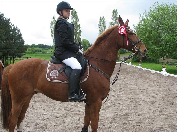Frederiksborg Kentucky Charlie - Hvalsø rideklub - self en 1. plads billede 15