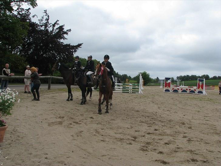 Frederiksborg Kentucky Charlie - ALS - self en 1. plads. min lille dreng slog lige 9 heste i omspringningen og med hele 3 sekunder foran 2. pladsen billede 17