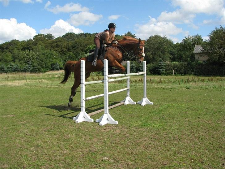 Frederiksborg Kentucky Charlie - Vi kan da det hele! billede 18