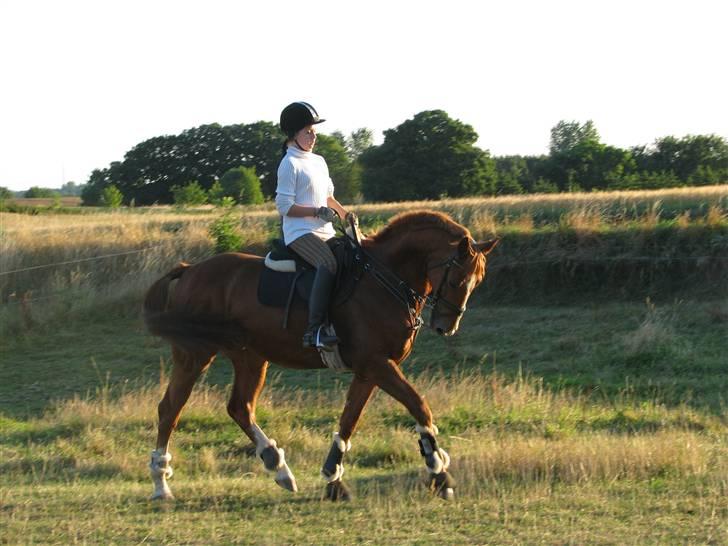 Frederiksborg Kentucky Charlie - Sommeren 08. Fotograf: Pia S. Hansen billede 19