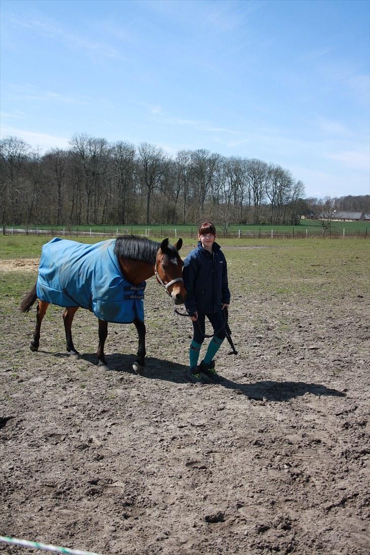 Anden særlig race Mr. Matrix - ind fra folden! på Tåsinge :D billede 13