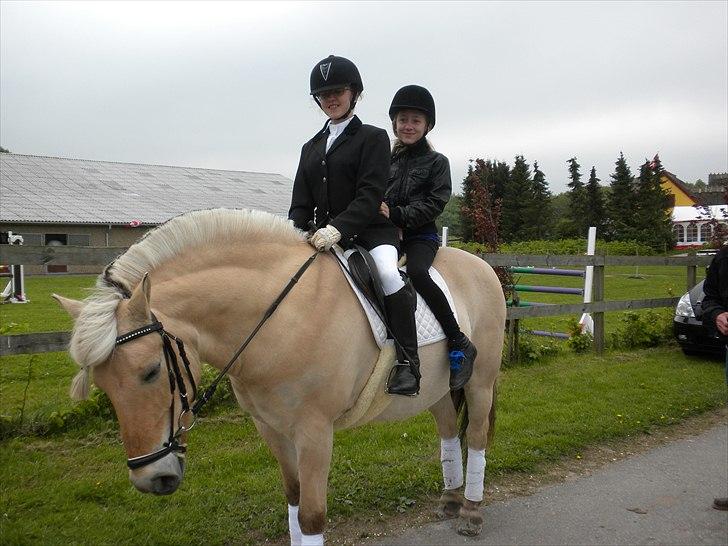 Fjordhest Ras granlygaard (Sofus) RIP <3 - 8) mig sofus og laura  billede 8