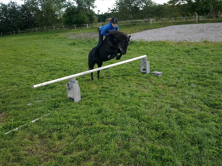 Anden særlig race trunte Min tyksak<3 - mig og trunte¨springer 70 cm uden sadel<3 Foto: regitze# billede 1