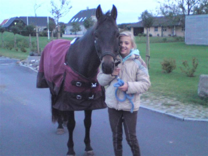 New Forest Bøgeagers Ponto - Ih man kan ikke andet end elske dig! 2/10-09 med nyt dækken! ;D billede 1