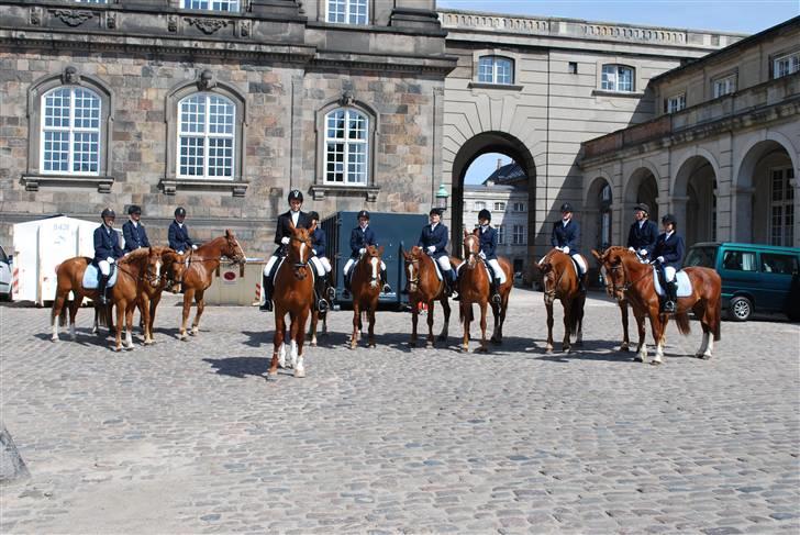 Frederiksborg Alli (Part) billede 11