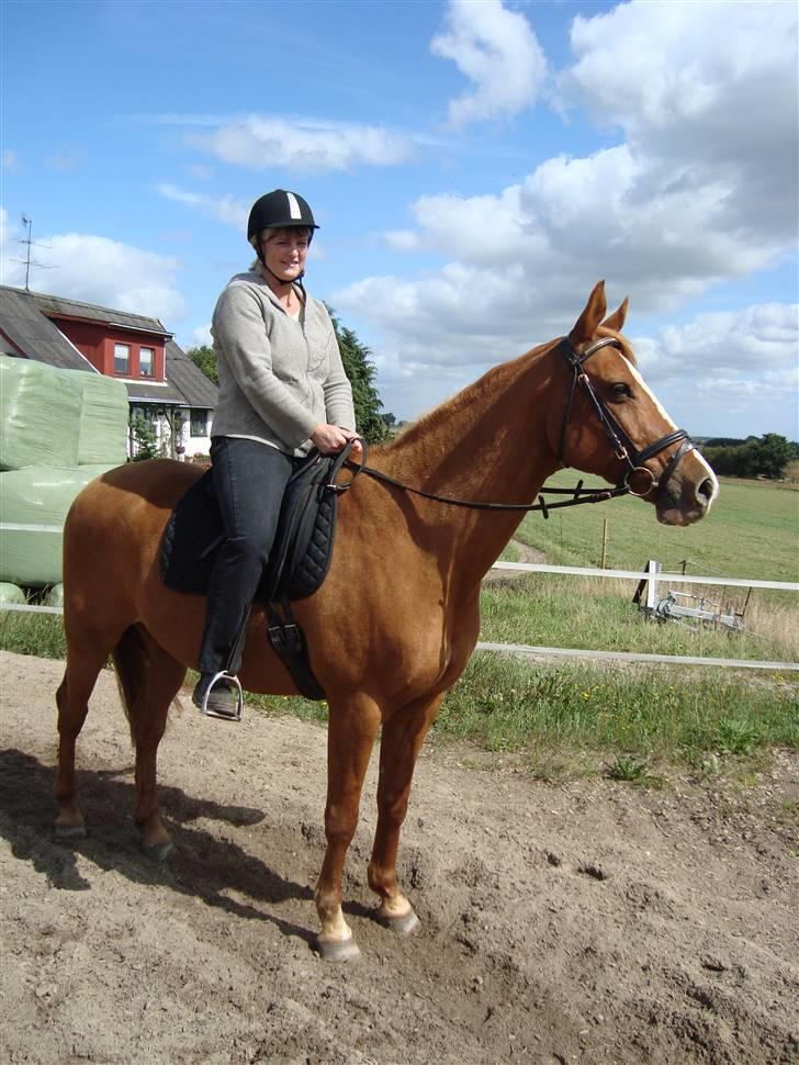 Anden særlig race Comet - († 27.1.11) - En stolt ejer :0) billede 9