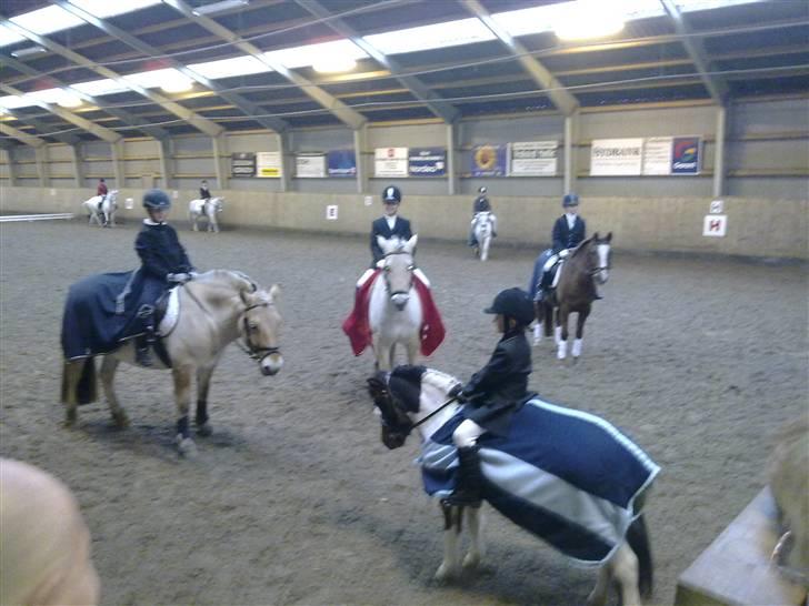 Anden særlig race Stella Nova (solgt) - Allerførste stævne for både Malou & Stella...det gav en 1.plads i LD1 billede 12