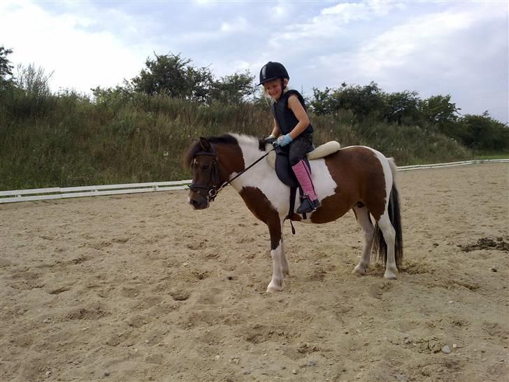 Anden særlig race Stella Nova (solgt) - Ved ikke lige hvad Malou laver her....men pyt bare de har det sjovt (hun er lige faldet af i ridehallen inden dette billede) billede 13