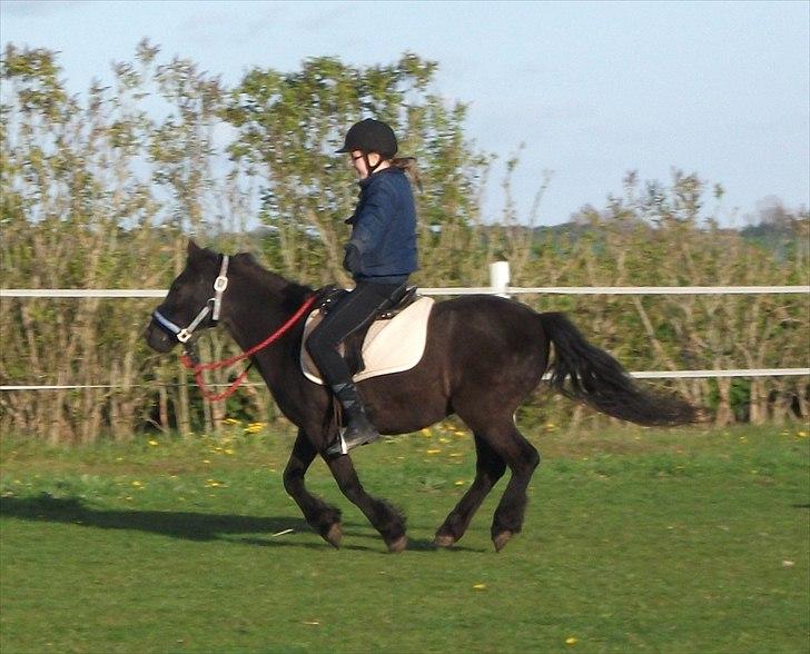 Anden særlig race trunte Min tyksak<3 - Jeg stoler på dig! ;D Foto: lillebror billede 4