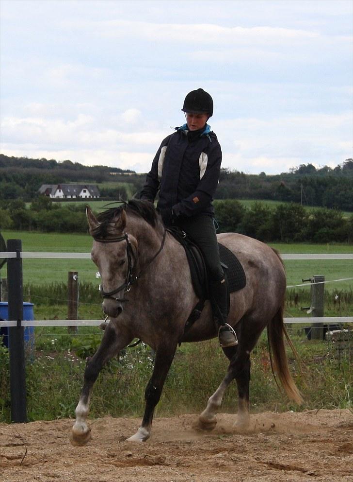 Anden særlig race Zera - juni 201 billede 12