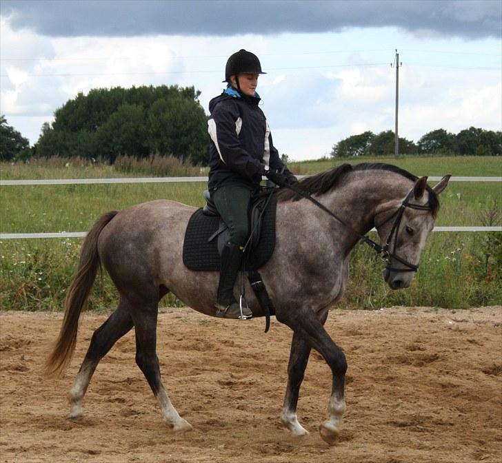 Anden særlig race Zera - juni ´10 billede 13