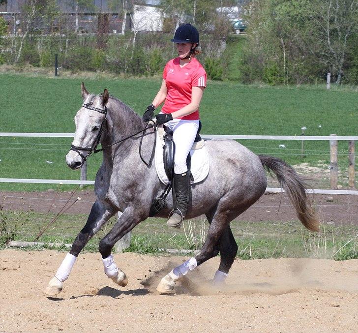 Anden særlig race Zera - april 2011 - 4 år billede 3