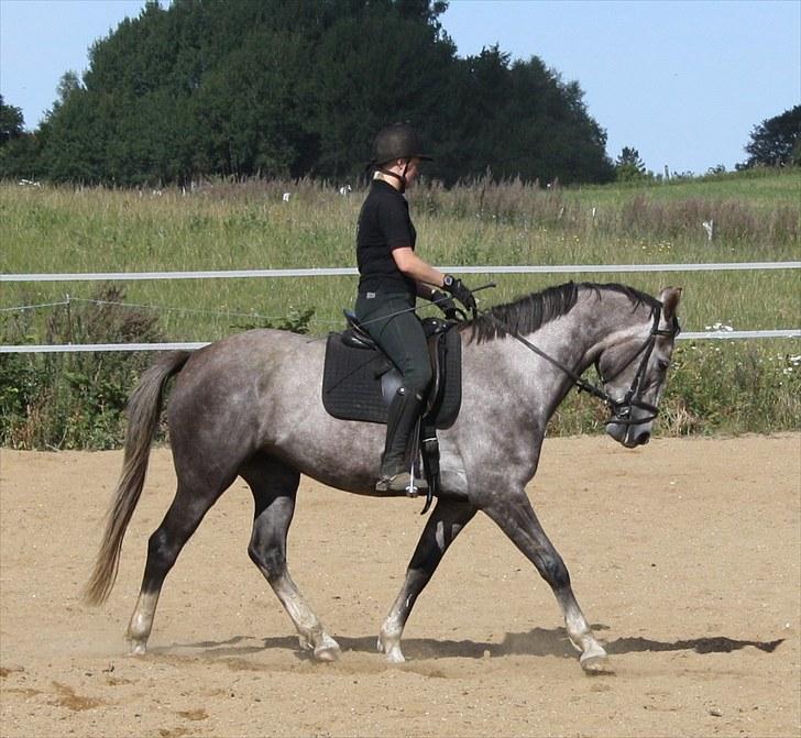 Anden særlig race Zera billede 15