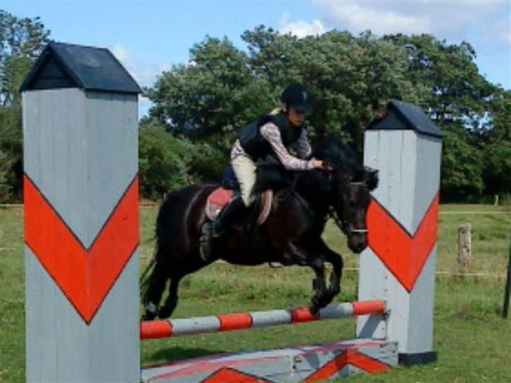 Anden særlig race Valde-solgt..;( - undskyld kvaliteten men sys det er godt 8D billede 9