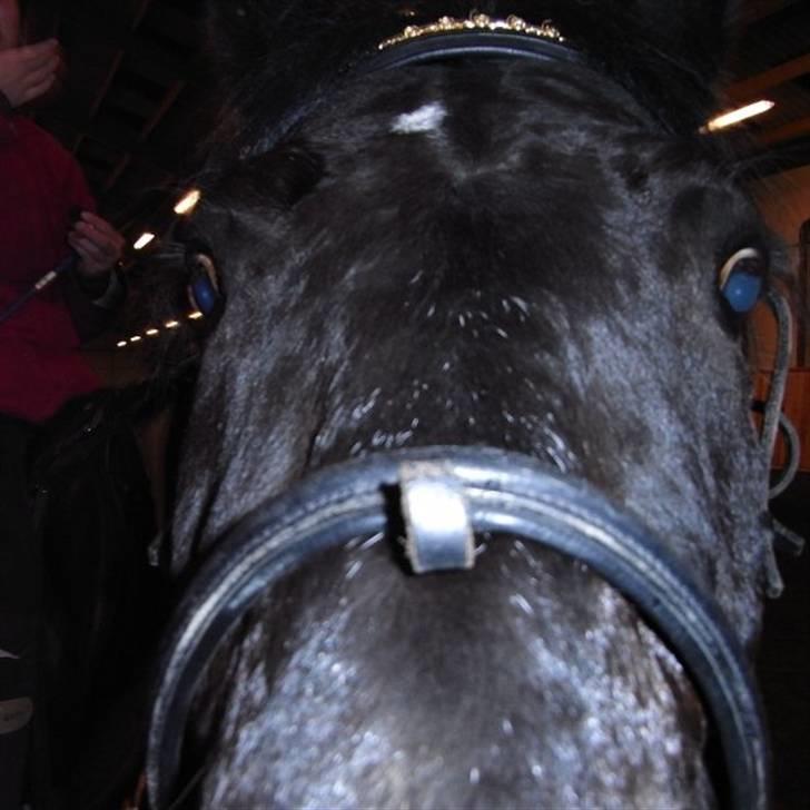 Anden særlig race Mozart - 4# Hvad er mon det? Kan det spises?  billede 4