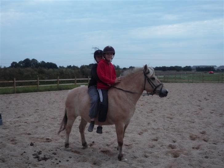 Fjordhest Flicka <,33 *solgt* - mig & Chridtoffer på Flicka (; billede 3