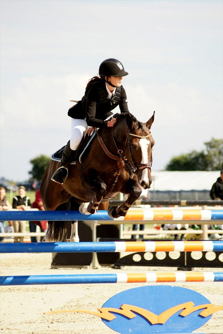 DSP Feminin - DM FINALE  2010   S4****      FOTO: CDKA  billede 9