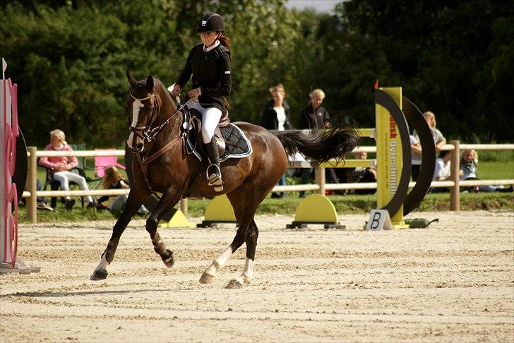 DSP Feminin - DM FINALE  2010   S4****      FOTO: CDKA  billede 12