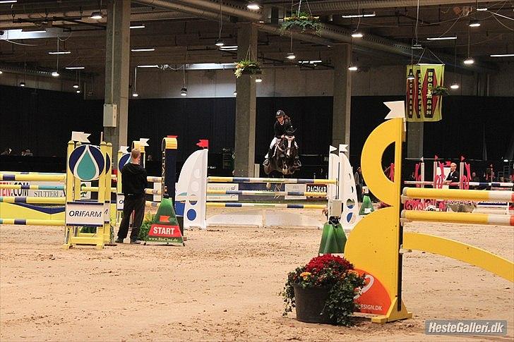 DSP Feminin - JBK 2010 International 120cm f. hold  billede 5