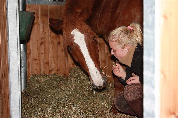 Anden særlig race Gari - hygge i boksen billede 2