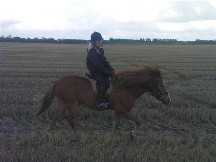 Islænder Iði  x-part - hygge turen på stup marken det var bare hygge billede 15