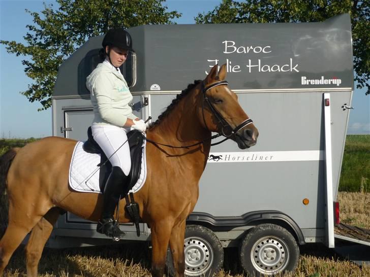 New Forest Baroc SOLGT! :(  billede 15